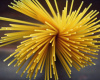 Pasta Can Be Healthy If Cooked a Certain Way