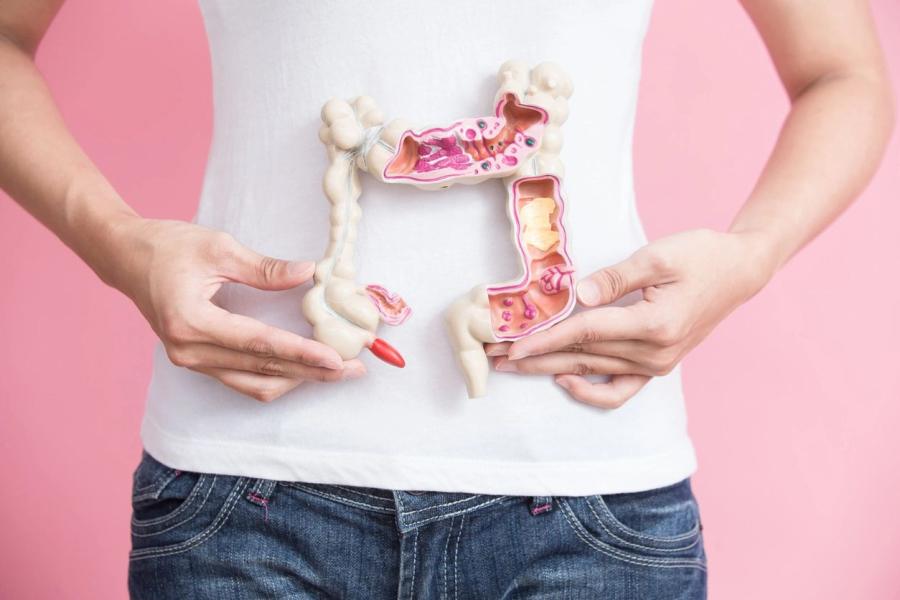 Hämorrhoiden – Was sind Hämorrhoiden, wie entstehen sie und wie behandelt man sie?