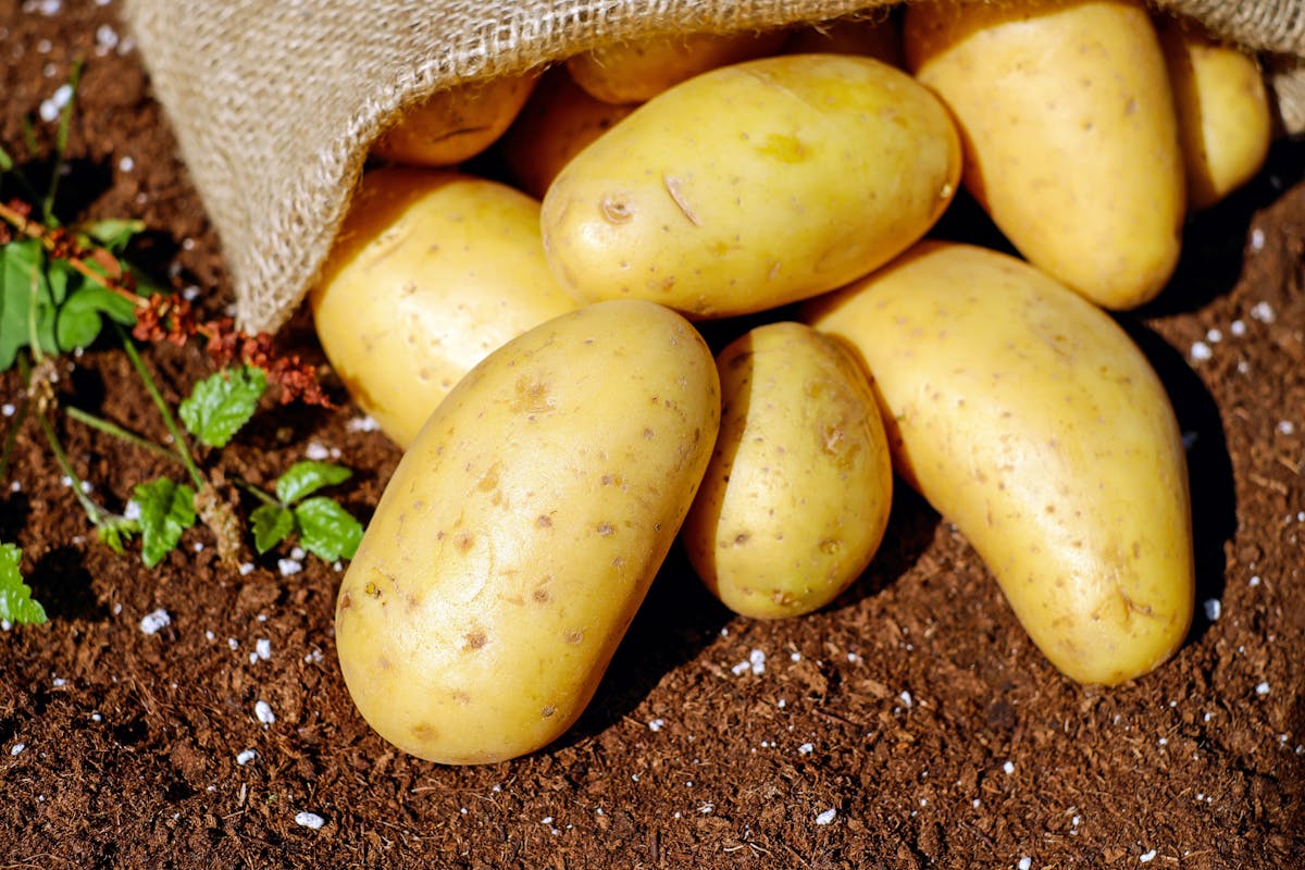 This Potato Dish Most Increases the Risk of Diabetes